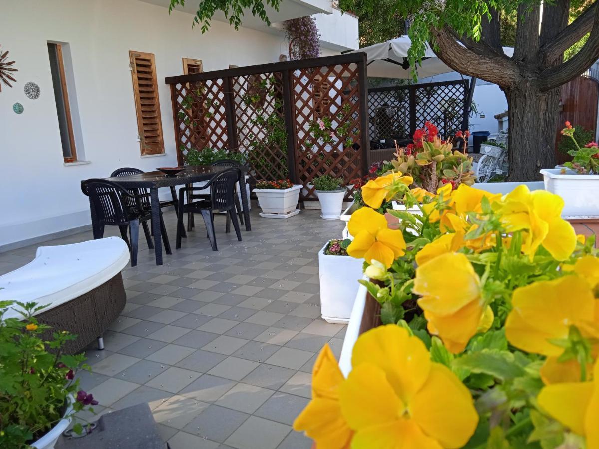Guest House Oleandro Санта-Мария-Наварезе Экстерьер фото